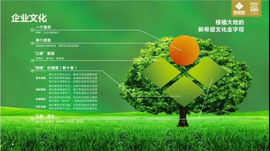 1.jpg 世界杯投注